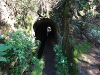 Levada Wanderung - ein Tunnel muss sein
