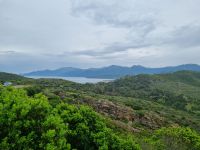 Agriates-Wüste (Macchia)