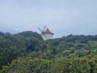 Cap Corse - Windmühle 