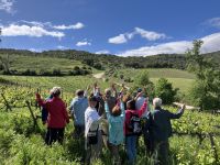 Spanien, Ronda, Eberhardt Reisegruppe in den Weinbergen
