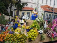 Funchal - Festumzug