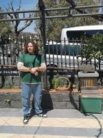 Ein Schnellkurs über die Bienen und dann geht´s zur Honigverkostung