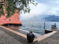 Uferkunst Malcesine 