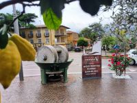 Spezialitäten vom Gardasee 