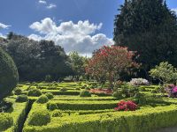 Mateuspalast - Garten