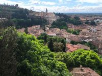 Verona. Ausblick von St. Pietro 