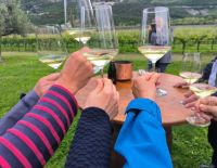 Weinprobe Cantina Madonna delle Vittorie 