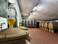 Cantina Madonna delle Vittorie 