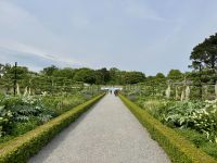 1. Tag – Ankunft in Dublin – Walled Garden im Phoenix Park