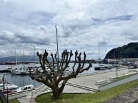 Stadtspaziergang in Horta