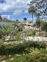 Im Park in Angra do Heroísmo