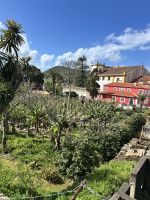 Im Park in Angra do Heroísmo