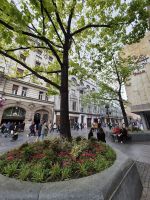 Tag 2 - Belgrad - Eindrücke - Fussgängerzone (3)