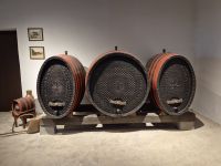 Tag 3 - Topola - Weinverkostung (9)