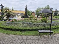 Tag 3 - Vrnjacka Banja - Eindrücke vom Kurort (5)