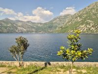 Tag 8 - Montenegro - Die  Bucht von Kotor (7)