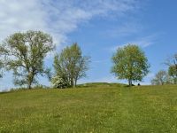 2. Tag – Von Dublin nach Letterkenny – Heiliger Hügel am Navan Fort