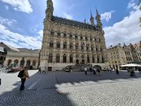das prächtige gotische Rathaus von Leuven