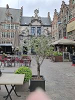 Eingang zum alten Fischmarkt in Gent