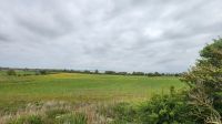  Felder bei Ahrenshoop