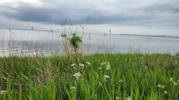 Wanderung von Born nach Ahrenshoop