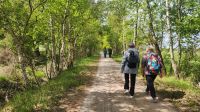 Wanderung von Wieck nach Born