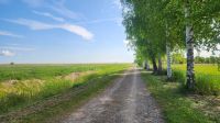 Spazierweg in Dierhagen