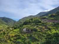 Levada do Marocos/Madeira