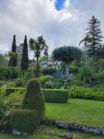 Blandy Garten (Quinta do Palheiro)/Madeira