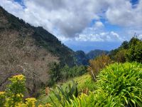 Ausblick bei Eira do Serrado/Madeira