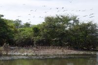 Bootsfahrt auf dem Yellow Waters, Kakadu Nationalpark (26).jpg
