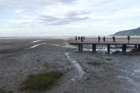 Cairns Esplanade, Queensland (3).jpg