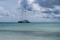 Michaelmas Cay, Great Barrier Reef (6).jpg