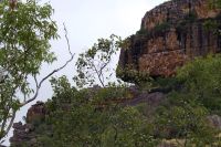 Spaziergang zu den Felsmalereien an den Nourlangiefelsen, Kakadu Nationalpark (11).jpg