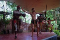 Tanszshow Pamagirri Aborginigal Kulturpark (1).jpg