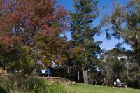 Wentworth Wasserfälle-1.jpg