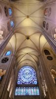 Tag 03 Besichtigung von Notre Dame 04 Das restaurierte Gewölbe