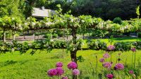 Glenveagh Castle & Gardens