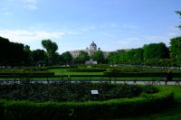 Der Rosengarten in Wien