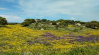 Valle della Luna, Aggius