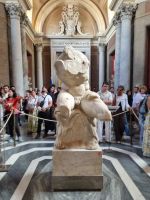 Vatikanische Museen - Torso vom Belvedere  