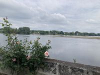 Radreise Loire vom 3.-11.5.25: Unser Rastplatz am Zusammenfluss von Loire und Vienne