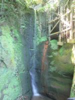 Shanklin Chine
