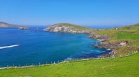 Dingle