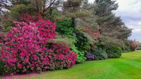 Muckross House and Gardens