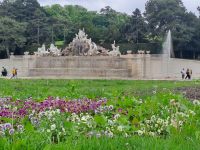 Frühlingsbepflanzung vor dem Neptunbrunnen
