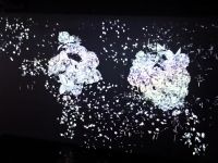 TeamLab Borderless 