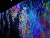 TeamLab Borderless 