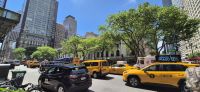 34 Yellow Cabs in NY