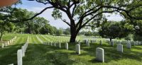 133 Arlington Friedhof